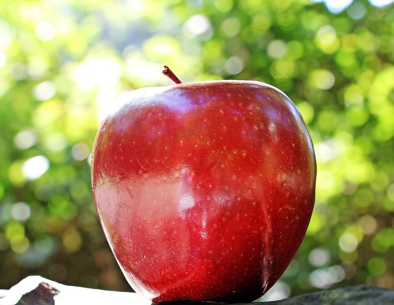 Apples